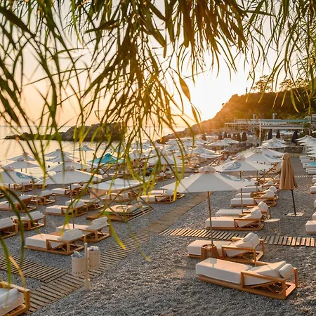 Folie Marine Club 5* Jal