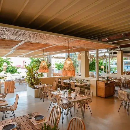 Folie Marine Club 5* Jal