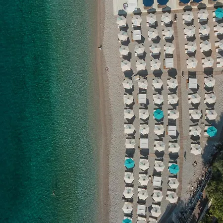 Folie Marine Club Jal