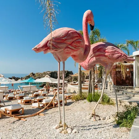 Folie Marine Club Jal
