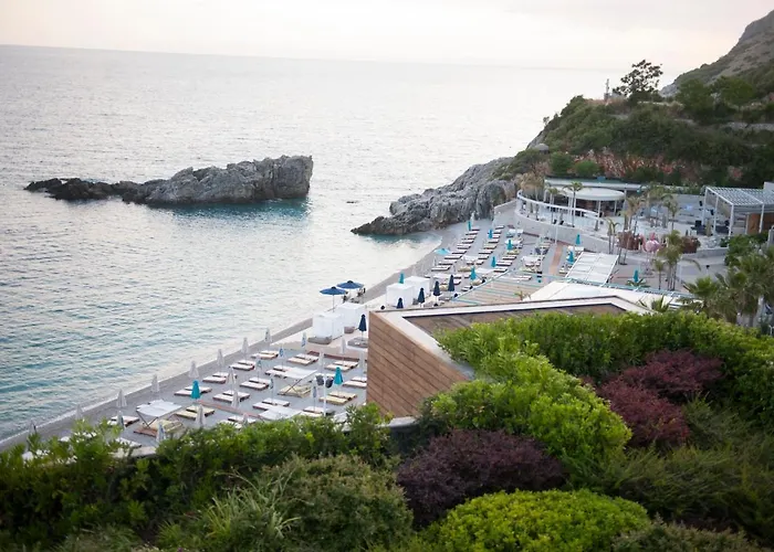 Folie Marine & Club Jal