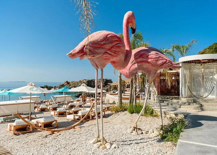 Folie Marine & Club Jal